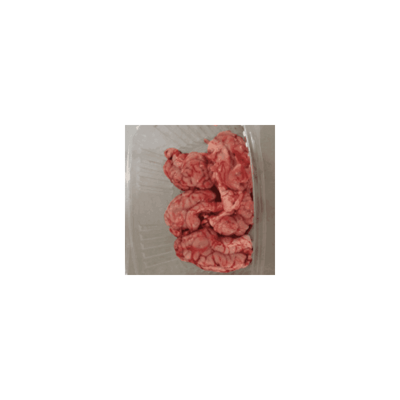 Porc Cervelle (Fmone) /pièce