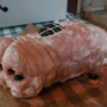 Porc Rôti pruneaux (FMone) ~1kg /kg