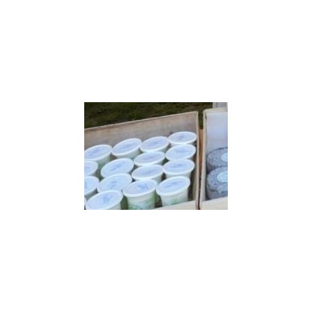 Yaourt chèvre nature (FMORET) 125g