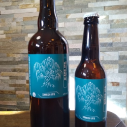 Bière IPA (BSaule) 33cL