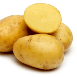 Pommes terre Allians (FBrie) /kg