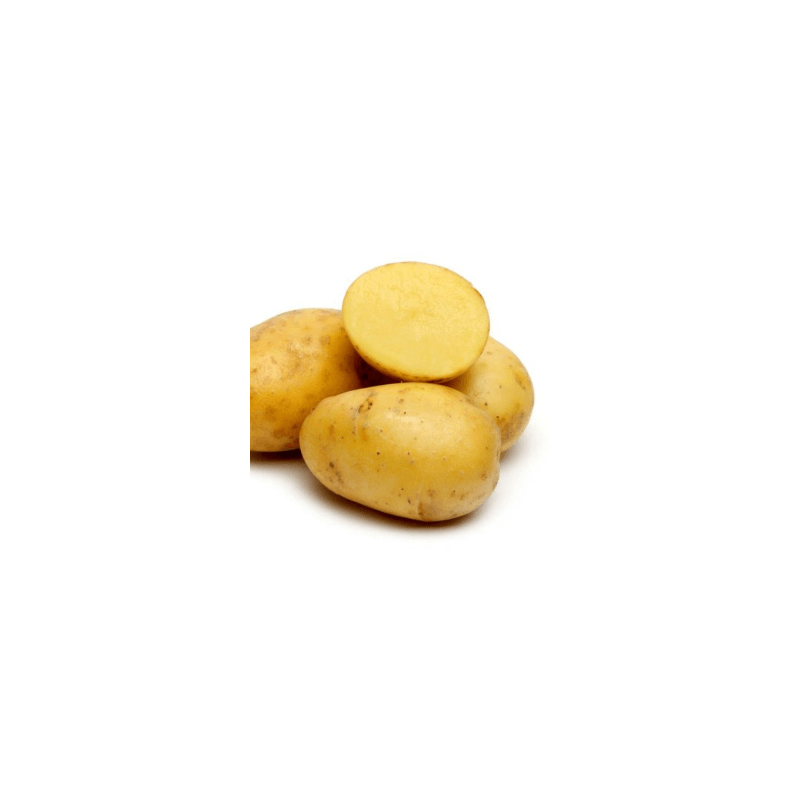 Pommes terre Allians (FBrie) /kg