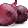 Oignons rouges (FBrie) /kg
