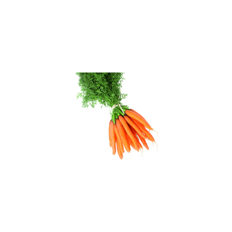 Carottes lavées (FBrie) /kg
