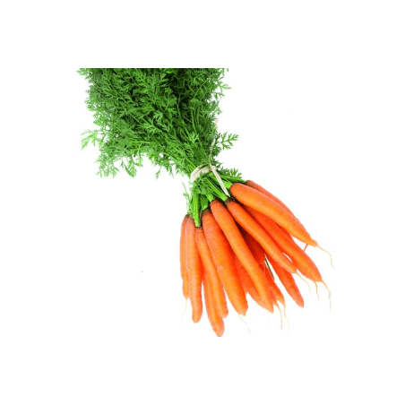 Carottes lavées (FBrie) /kg