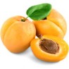 Abricots (Dynamis) /kg