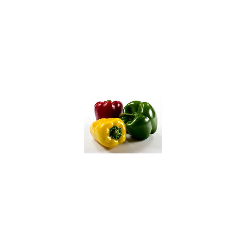Poivrons mixes (HanSO) /kg