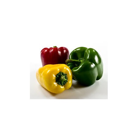 Poivrons mixes (HanSO) /kg