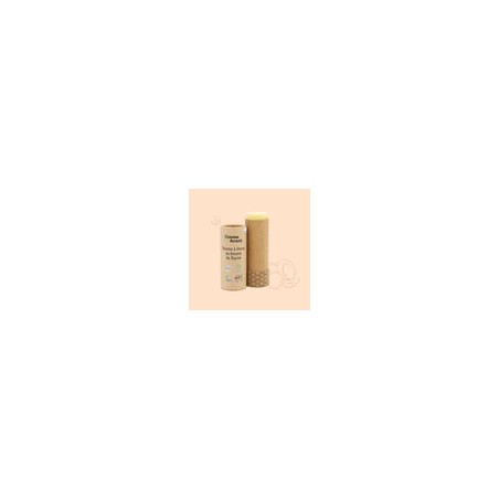 Baume lèvre beurre karité fruit rouge (comav) 15g