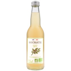 Infusion Maté (Dynamis) 330mL