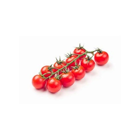 Tomates cocktail grappes (Dynamis) /kg