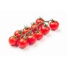 Tomates cocktail grappes (Dynamis) /kg