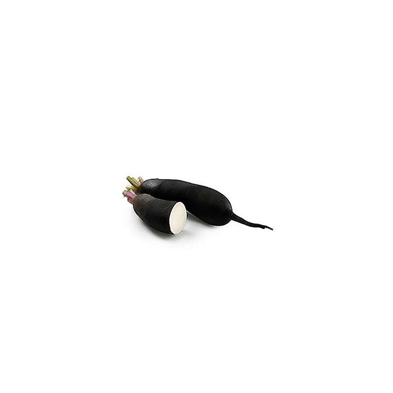 Radis noir (Dynamis) /kg