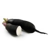 Radis noir (Dynamis) /kg