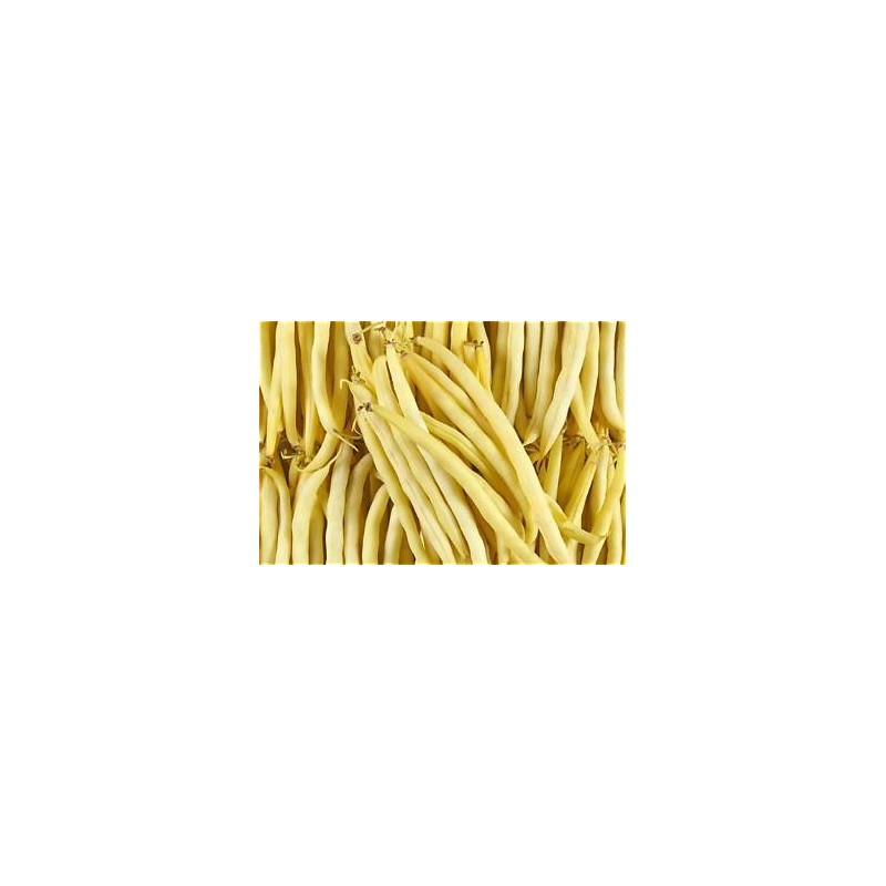 Haricots beurre (Bio Ferm) /kg