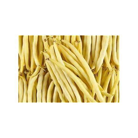 Haricots beurre (Bio Ferm) /kg