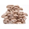 Champignons pleurote (Dynamis) /kg